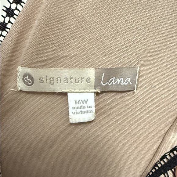 Elegant Black and Nude Lace Dress - Picture 2 of 4